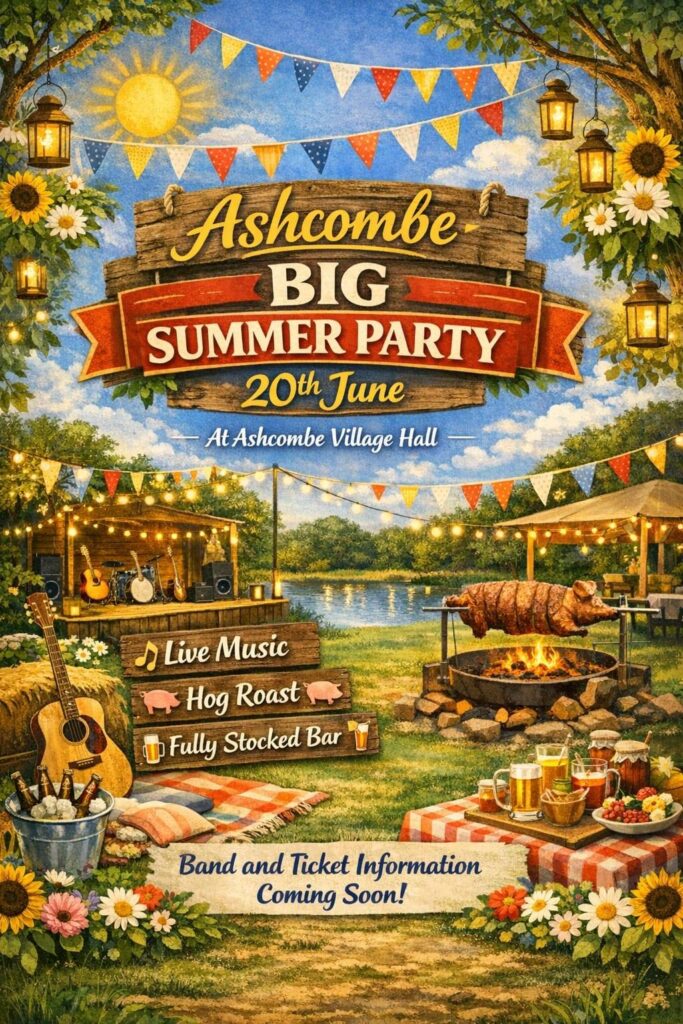 BIG Summer Party